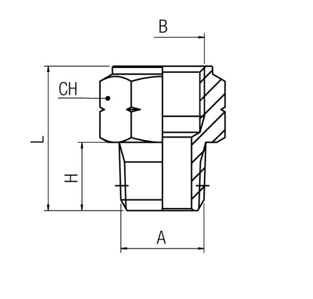 Adaptateur BSPP femelle - NPT male